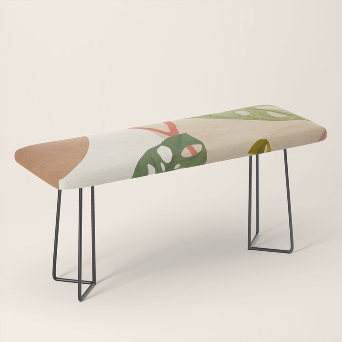 Monstera Obliqua 01 Bench Gallery Image 1