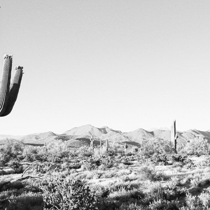 DESERT II / Phoenix, Arizona Coffee Mug Gallery Image 2