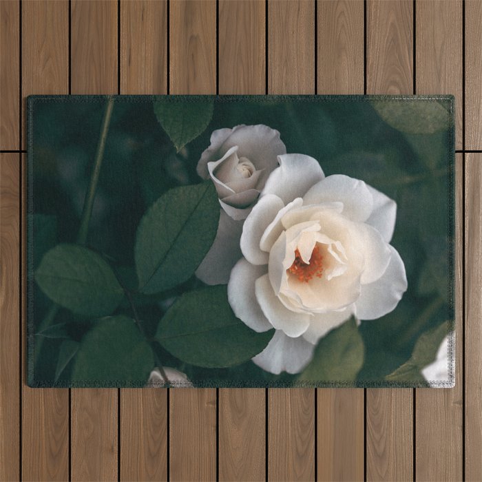 Late Autumn Rose #6 Outdoor Rug Gallery Image 1