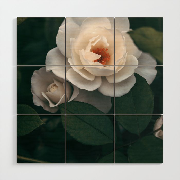 Late Autumn Rose #6 Wood Wall Art