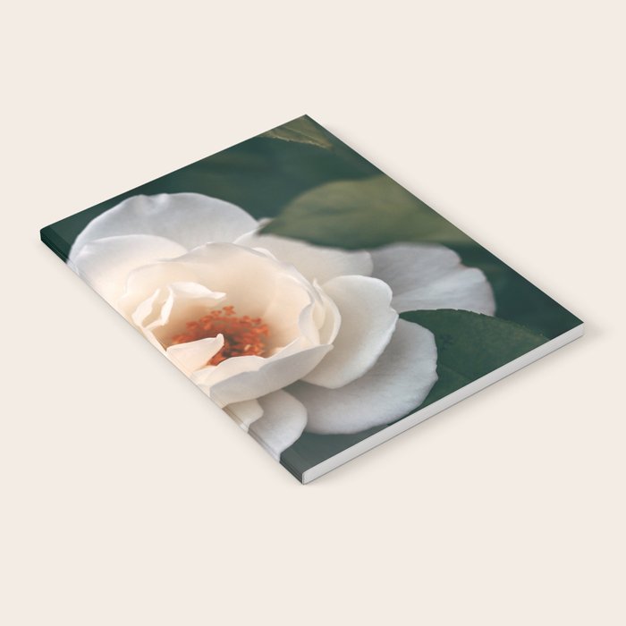 Late Autumn Rose #6 Notebook Gallery Image 2