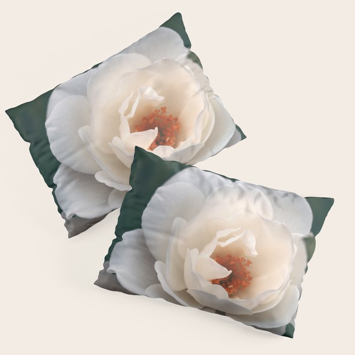 Late Autumn Rose #6 Pillow Sham Gallery Image 1