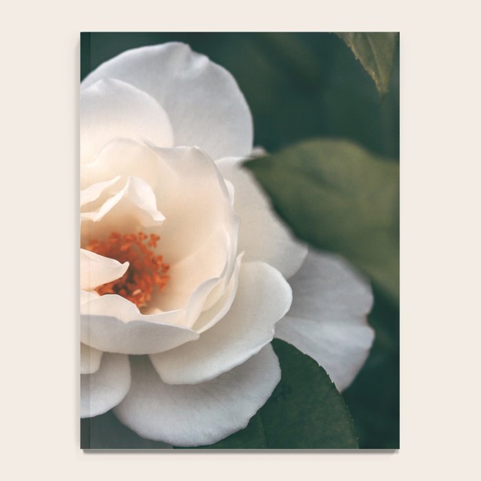 Late Autumn Rose #6 Notebook Gallery Image 4