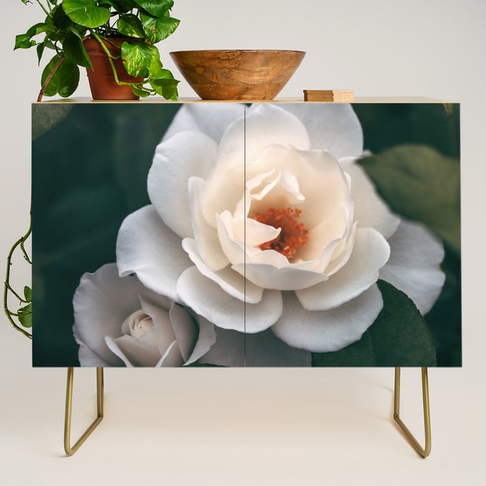 Late Autumn Rose #6 Credenza Gallery Image 1