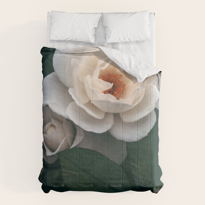 Late Autumn Rose #6 Comforter Gallery Image 1