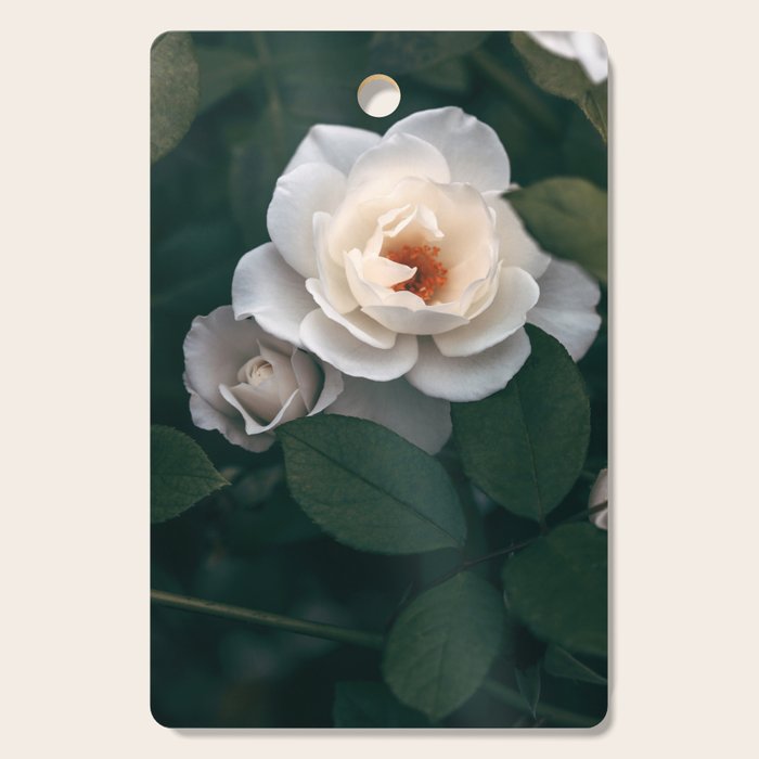 Late Autumn Rose #6 Cutting Board Gallery Image 1