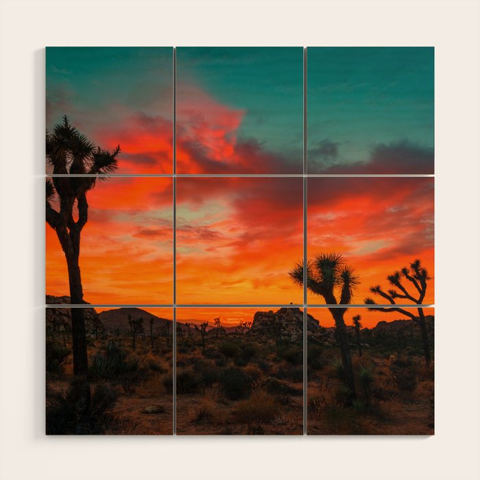 Joshua Tree Parc National Wood Wall Art Gallery Image 1