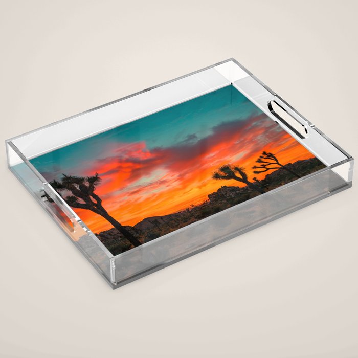 Joshua Tree Parc National Acrylic Tray Gallery Image 1