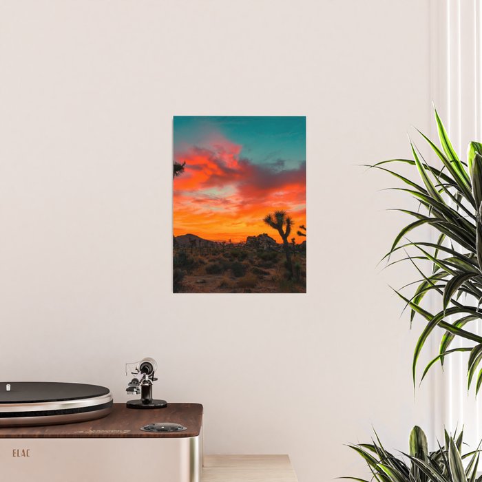 Joshua Tree Parc National Poster Gallery Image 2