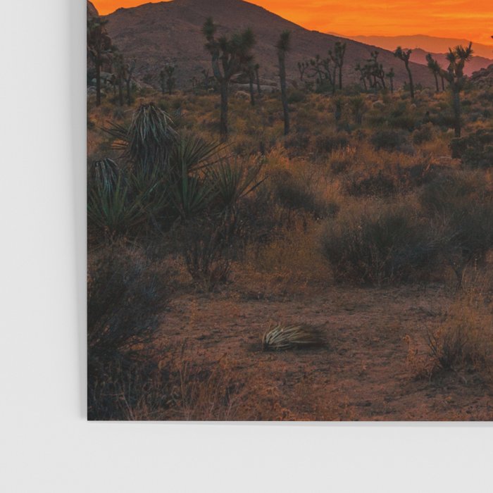 Joshua Tree Parc National Poster Gallery Image 3