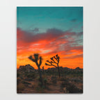 Joshua Tree Parc National Notebook Gallery Image 4