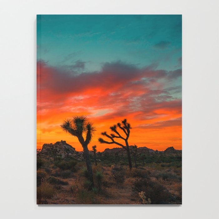 Joshua Tree Parc National Notebook Gallery Image 4