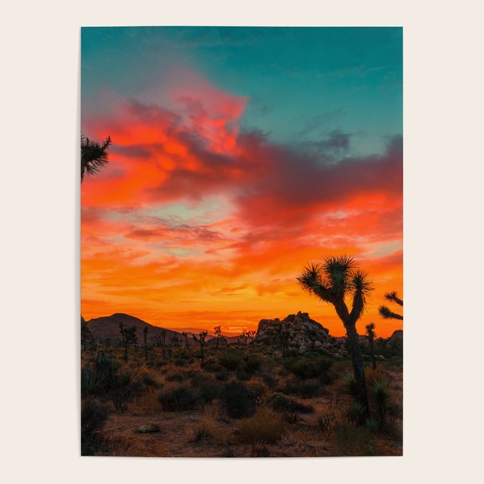 Joshua Tree Parc National Poster Gallery Image 1
