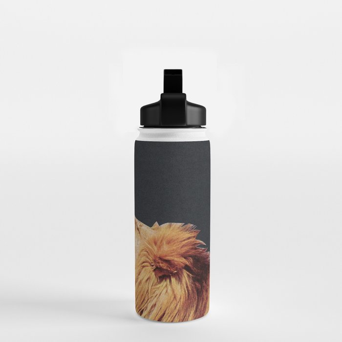 ROAR Water Bottle Gallery Image 2
