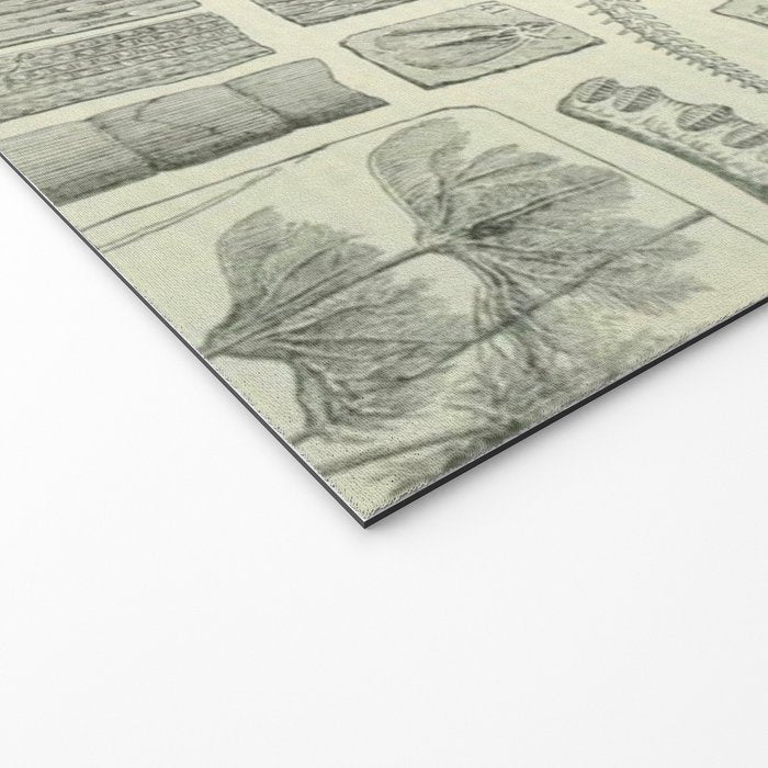 Fossil Chart Welcome Mat Gallery Image 2
