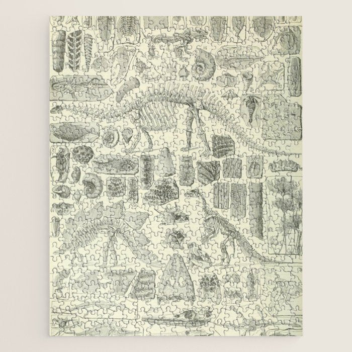 Fossil Chart Jigsaw Puzzle Gallery Image 1