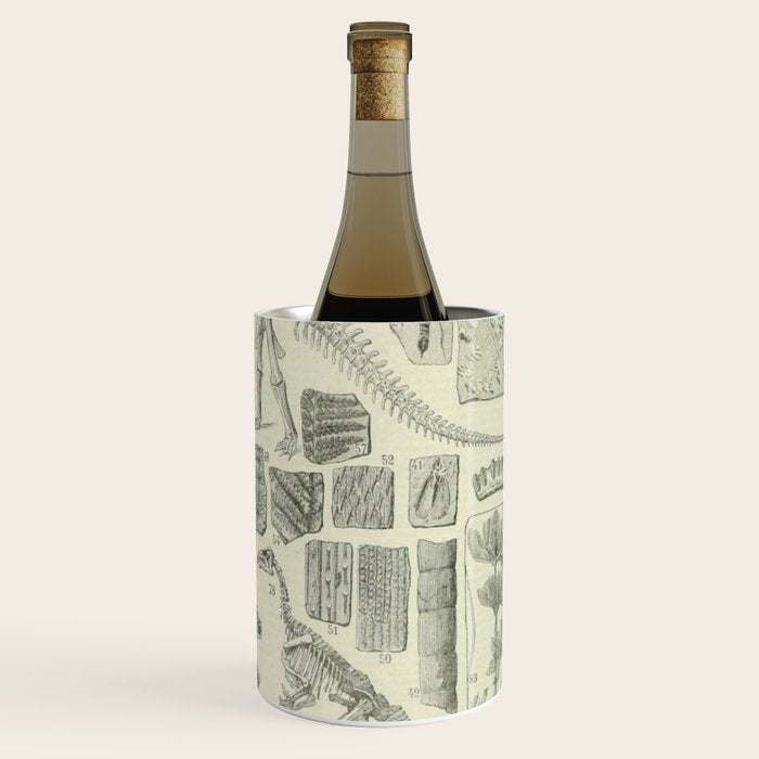 Fossil Chart Wine Chiller Gallery Image 3