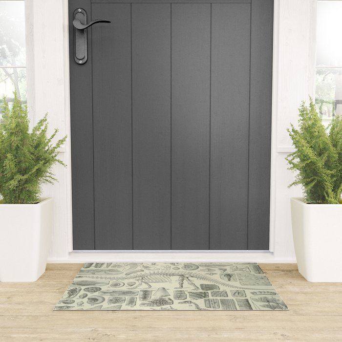 Fossil Chart Welcome Mat Gallery Image 3