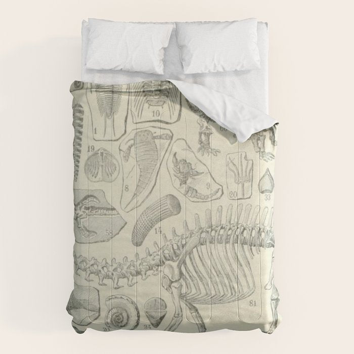 Fossil Chart Comforter Gallery Image 1