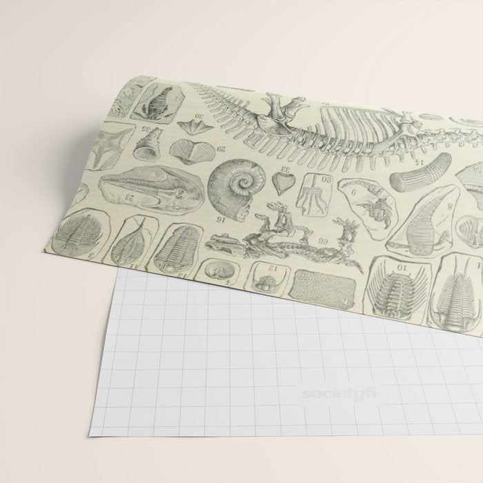 Fossil Chart Wrapping Paper Gallery Image 2