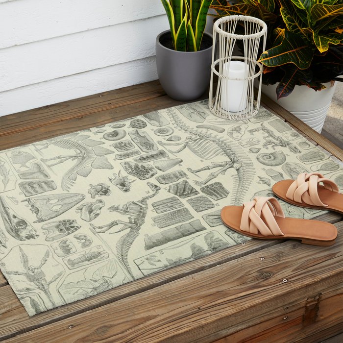 Fossil Chart Outdoor Rug Gallery Image 2