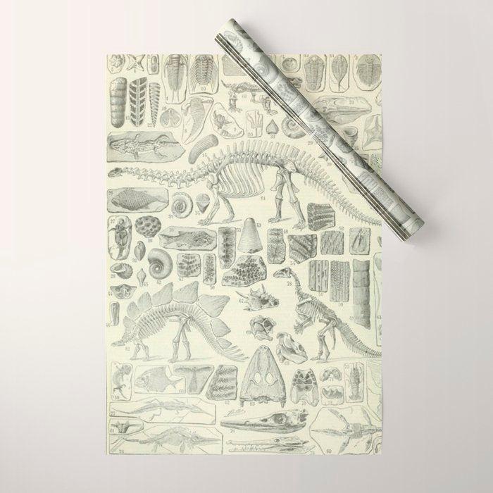 Fossil Chart Wrapping Paper Gallery Image 1