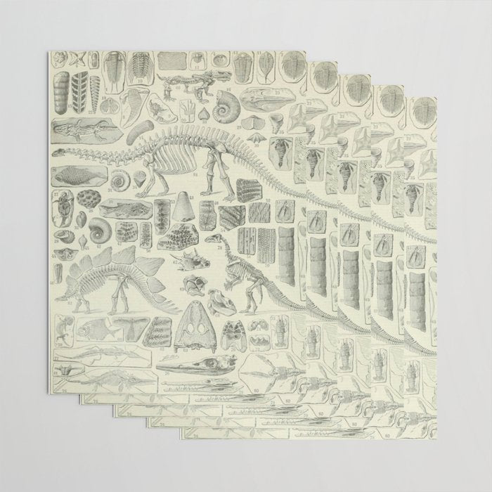 Fossil Chart Wrapping Paper Gallery Image 3