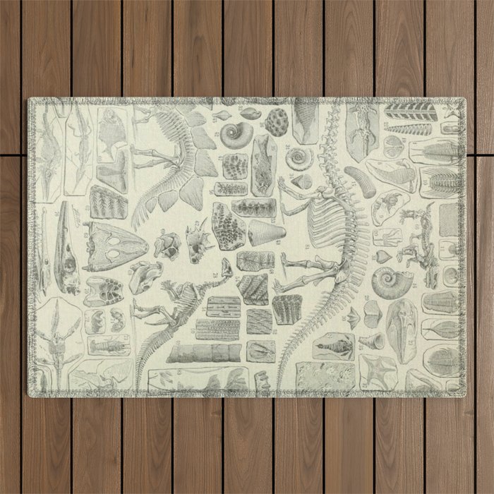 Fossil Chart Outdoor Rug Gallery Image 1