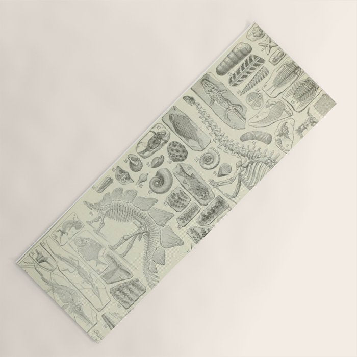 Fossil Chart Yoga Mat Gallery Image 1