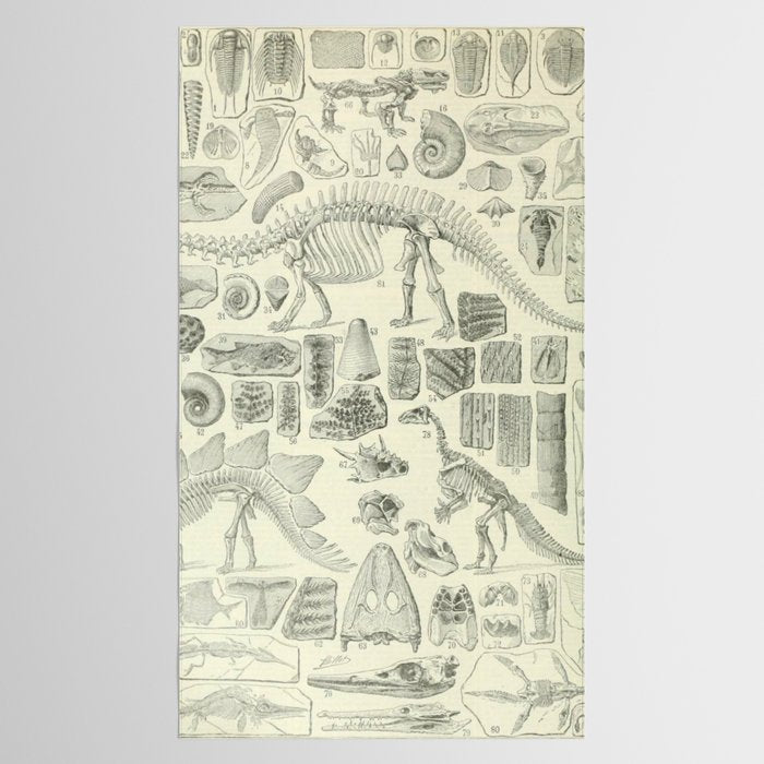 Fossil Chart Tablecloth Gallery Image 2