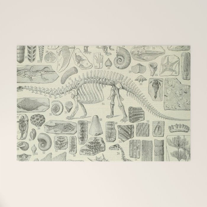 Fossil Chart Welcome Mat Gallery Image 1