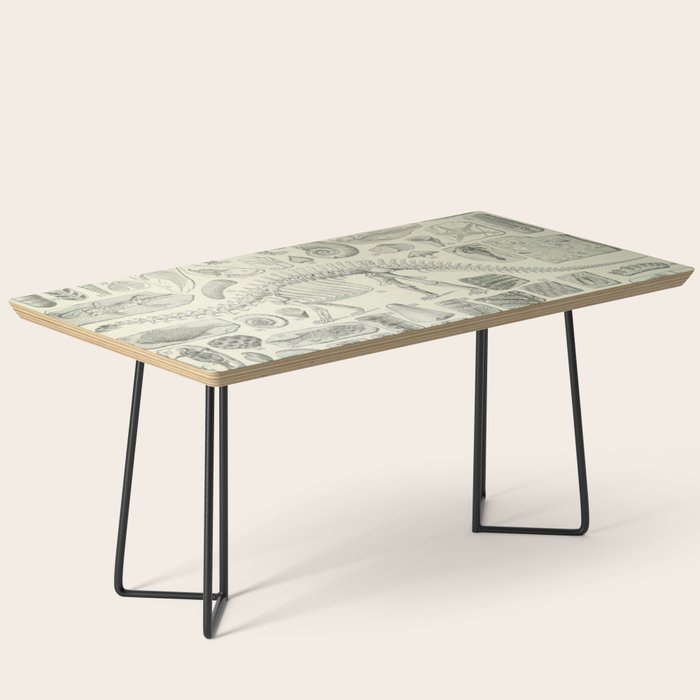 Fossil Chart Coffee Table Gallery Image 1
