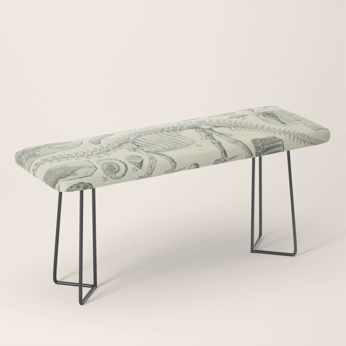 Fossil Chart Bench Gallery Image 1