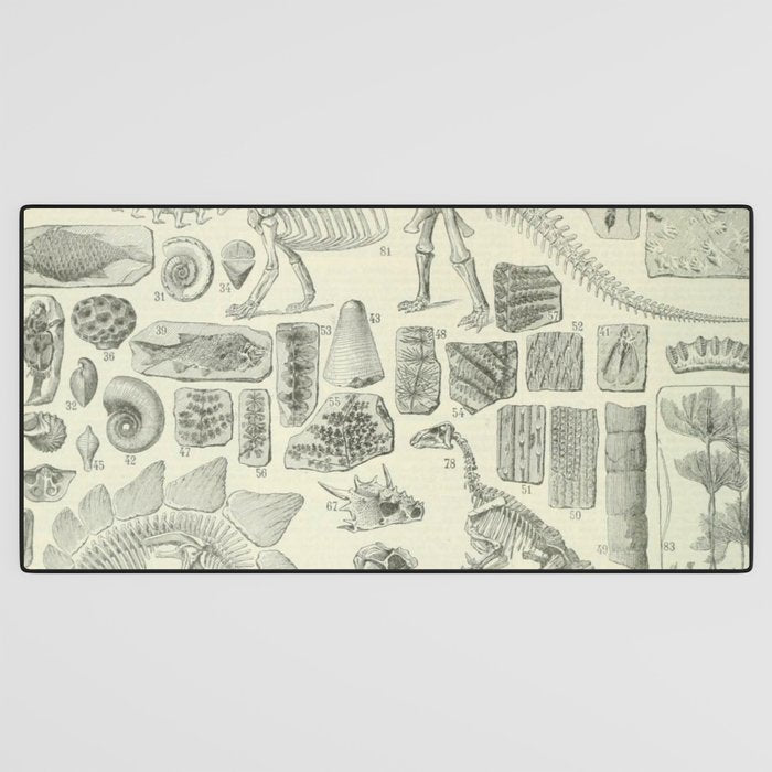 Fossil Chart Desk Mat Gallery Image 3