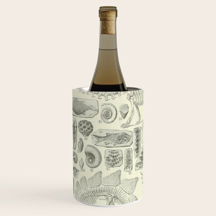 Fossil Chart Wine Chiller Gallery Image 2