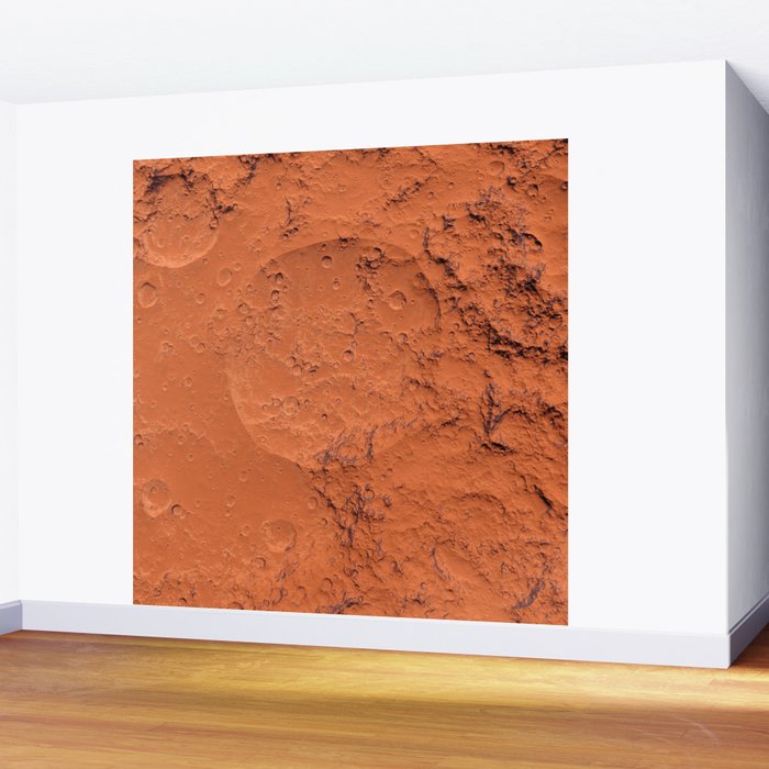 Mars surface Wall Mural Gallery Image 2
