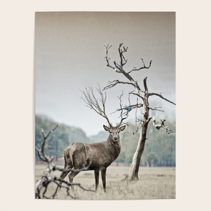 Deer Poster Gallery Image 4