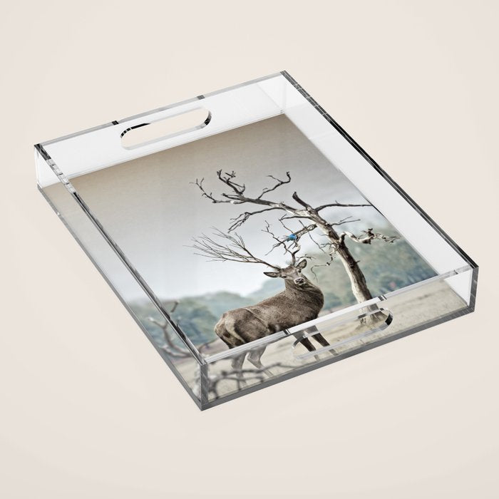 Deer Acrylic Tray Gallery Image 1