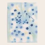 Indigo Lily Drift Poster Gallery Image 4