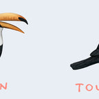 Toucan Toucan't Coffee Mug Gallery Image 2