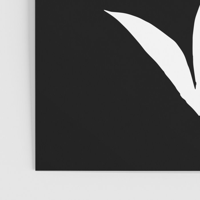 Fading Spring In Black  Poster Gallery Image 3