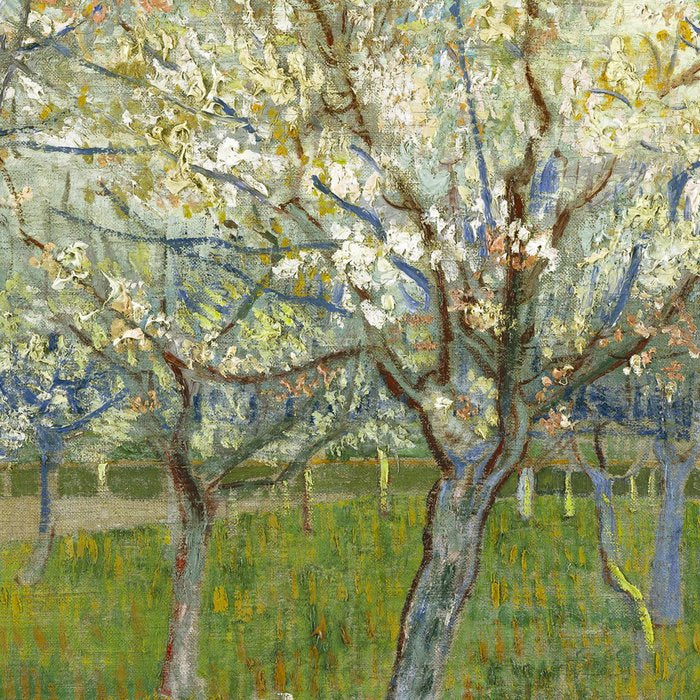 The Pink Orchard by Vincent van Gogh, 1888 Coffee Mug Gallery Image 2