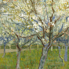 The Pink Orchard by Vincent van Gogh, 1888 Coffee Mug Gallery Image 2