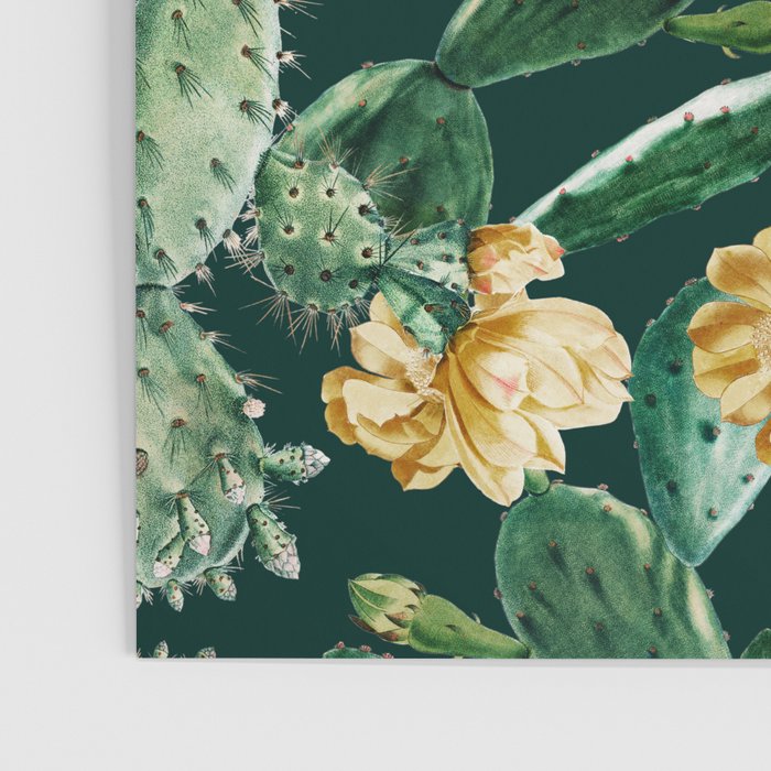 Cactus Garden Poster Gallery Image 3
