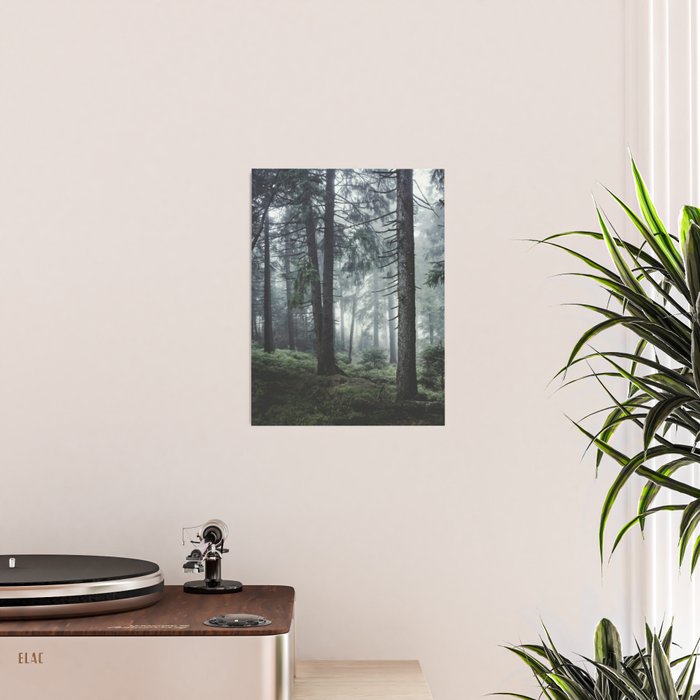 Path Vibes Poster Gallery Image 2