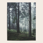 Path Vibes Poster Gallery Image 4