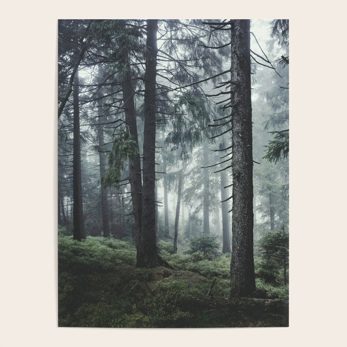 Path Vibes Poster Gallery Image 4