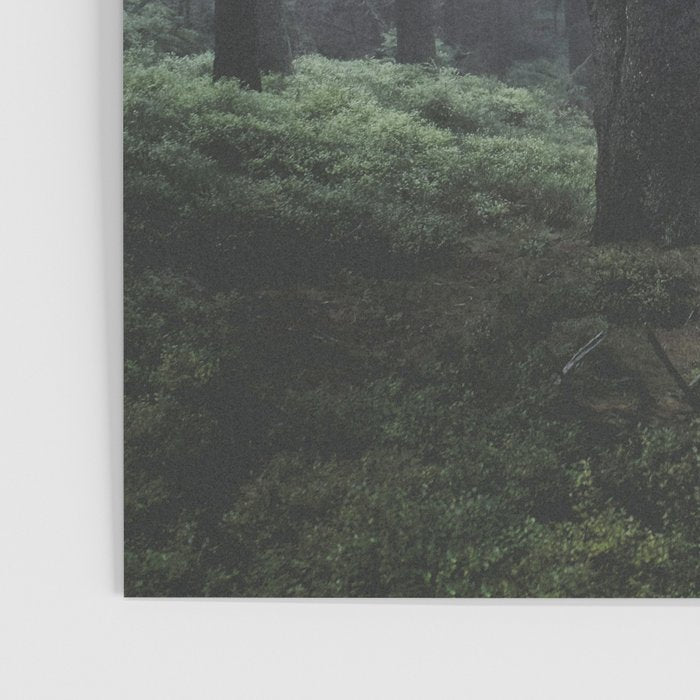 Path Vibes Poster Gallery Image 3