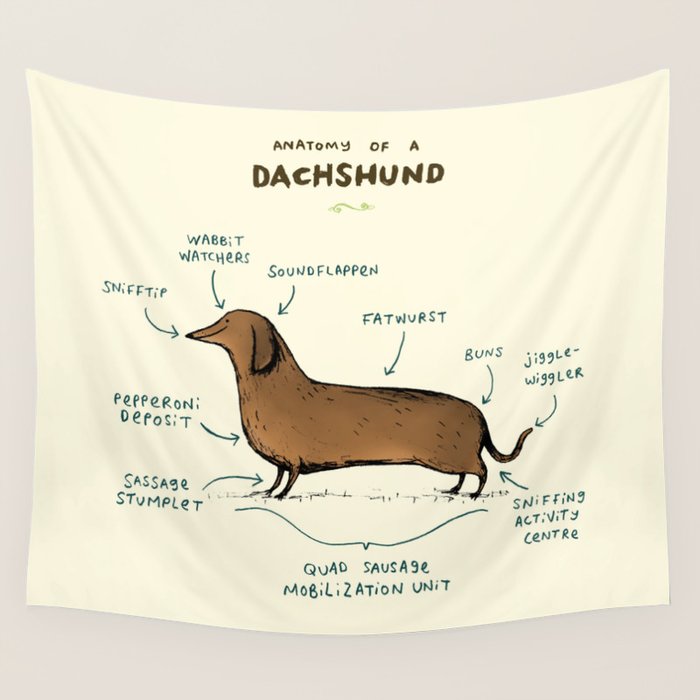 Anatomy of a Dachshund Wall Tapestry Gallery Image 1