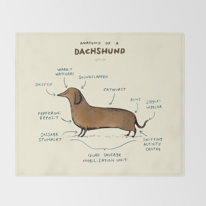 Anatomy of a Dachshund Throw Blanket Gallery Image 2